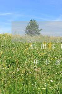 信用卡逾期了律師聯(lián)系我了(信用卡逾期律師給我打電話了怎么辦)