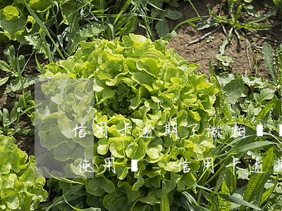 信用卡逾期了微粒貸還能循環(huán)使用嗎-信用卡逾期了微粒貸還能循環(huán)使用嗎安全嗎
