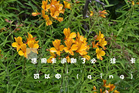 信用卡逾期了必須注銷卡嗎(注銷的信用卡還可以申請(qǐng)嗎)