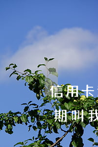 信用卡逾期了怎么借錢來還(朋友說信用卡到期叫我借錢還)