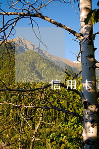 信用卡逾期了怎么判別