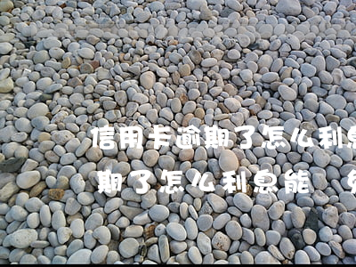 信用卡逾期了怎么利息能減免嗎-信用卡逾期了怎么利息能減免嗎知乎
