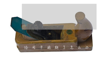 信用卡逾期了怎么办又没钱还呢(欠信用卡的钱逾期没还会怎么样)