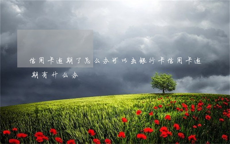 信用卡逾期了怎么办可以去(银行卡信用卡逾期有什么办)