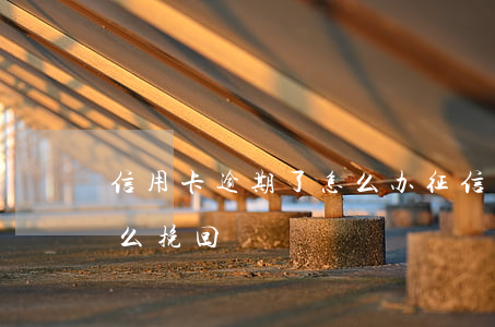 信用卡逾期了怎么办征信(信用卡逾期征信怎么挽回)