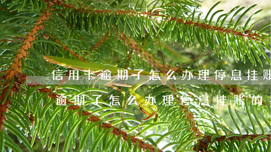 信用卡逾期了怎么办理停息挂账的-信用卡逾期了怎么办理停息挂账的手续