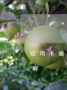 信用卡逾期了怎么勸說(銀行信用卡逾期怎么解決)