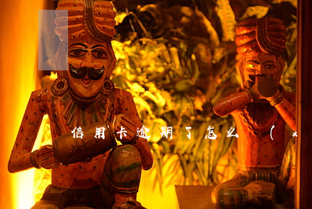 信用卡逾期了怎么協(xié)商停息掛賬