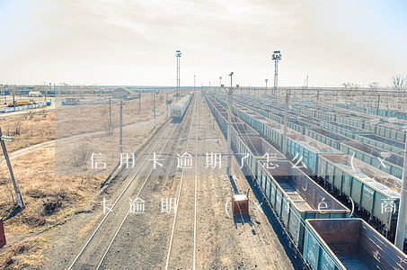 信用卡逾期了怎么協(xié)商解決(信用卡逾期協(xié)商處理方法)