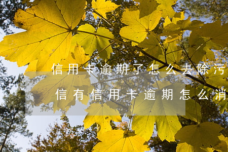 信用卡逾期了怎么去除污點(diǎn) 征信有信用卡逾期怎么消除