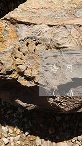 信用卡逾期了怎么向銀保監(jiān)會(huì)投訴(信用卡逾期了怎么向銀保監(jiān)會(huì)投訴)