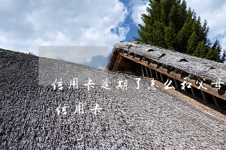 信用卡逾期了怎么和父母坦白-向父母坦白信用卡
