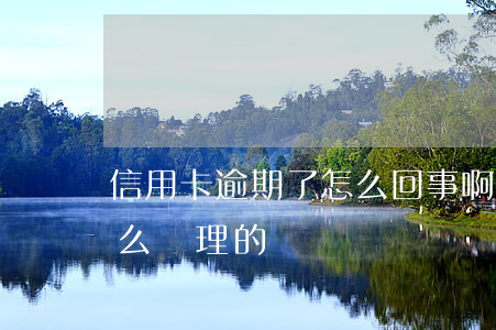 信用卡逾期了怎么回事啊(信用卡逾期都是怎么處理的)