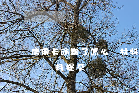 信用卡逾期了怎么寫材料(信用卡逾期了,銀行說資料提交)