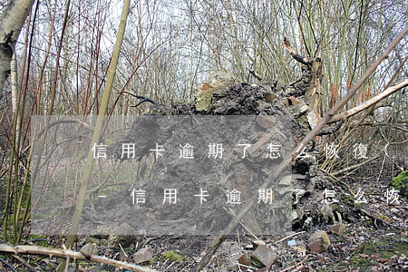 信用卡逾期了怎么恢復(fù)信用額度的-信用卡逾期了怎么恢復(fù)信用額度的正常