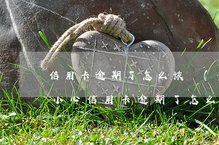 信用卡逾期了怎么恢復(fù)正常使用 不小心信用卡逾期了怎么辦