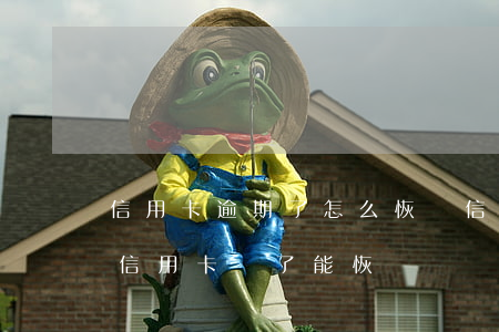 信用卡逾期了怎么恢復信用分呢(逾期嚴重的信用卡還了能恢復嗎)