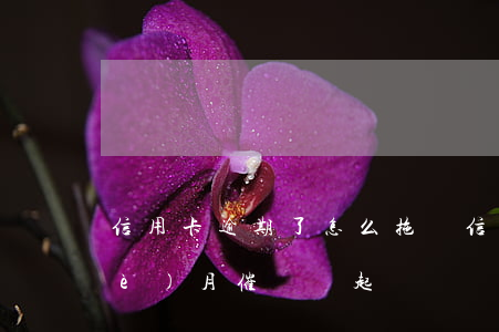 信用卡逾期了怎么拖債(信用卡逾期3個(gè)月催債說起訴)