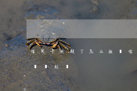 信用卡逾期了怎么拖債(信用卡逾期3個月催債說起訴)