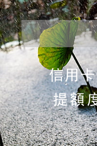 信用卡逾期了怎么提額度(信用卡逾期了怎么提額度)