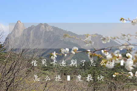 信用卡逾期了怎么提額度最快(信用卡逾期了怎么提額度最快)
