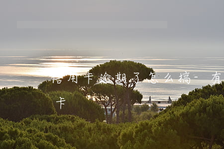 信用卡逾期了怎么搞-有過逾期怎么辦信用卡