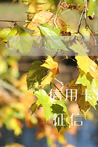 信用卡逾期了怎么查征信(信用卡逾期怎么看征信單子)