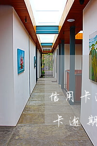 信用卡逾期了怎么查找賬單(怎么查自己信用卡逾期)