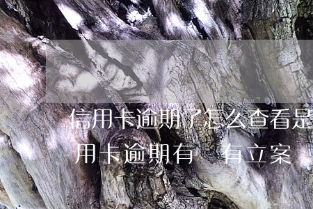 信用卡逾期了怎么查看是否被起訴 怎么查信用卡逾期有沒有立案