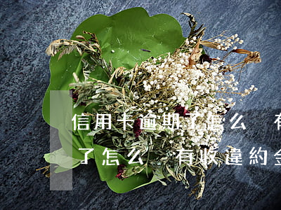 信用卡逾期了怎么沒有收違約金(信用卡逾期了怎么沒有收違約金)
