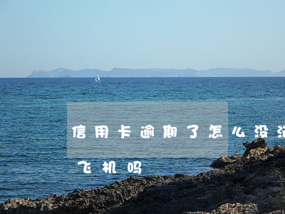 信用卡逾期了怎么没法坐飞机(欠信用卡能坐飞机吗?)