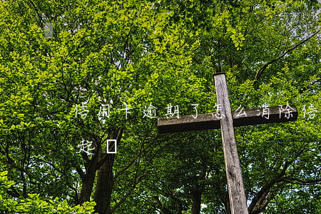 信用卡逾期了怎么消除（信用k逾期怎么避免起訴）