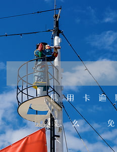 信用卡逾期了怎么減免利息-信用卡逾期了怎么減免利息呢