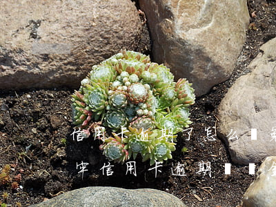 信用卡逾期了怎么減免費(fèi)用(因坐牢信用卡逾期違約金可以減免嗎)