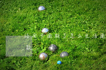 信用卡逾期了怎么生活(逾期的信用卡怎么還款)