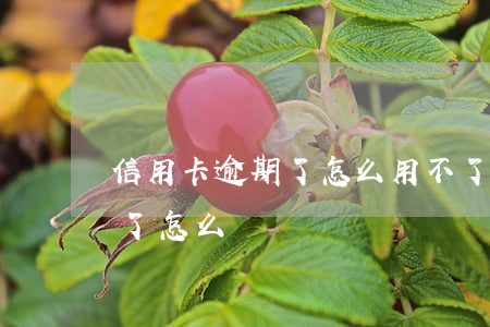 信用卡逾期了怎么用不了(信用卡沒注意逾期了怎么辦)