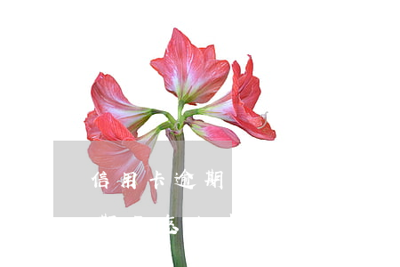 信用卡逾期了怎么申請停息分賬-信用卡逾期了怎么申請停息分賬呢