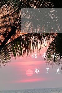 信用卡逾期了怎么看本金还剩多少(信用卡逾期了怎么看本金还剩多少钱)