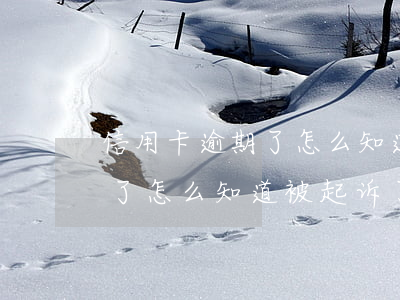 信用卡逾期了怎么知道被起诉了(信用卡逾期了怎么知道被起诉了)