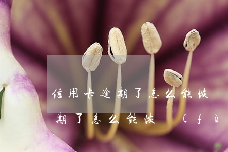 信用卡逾期了怎么能恢復(fù)(信用卡逾期了怎么能恢復(fù)正常)