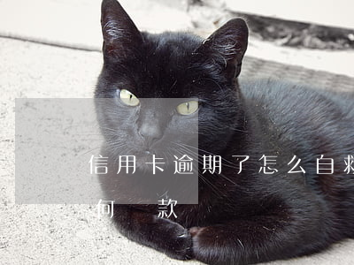 信用卡逾期了怎么自救上岸(逾期的信用卡如何還款)
