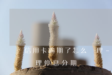 信用卡逾期了怎么處理-信用卡逾期了怎么辦理停息分期