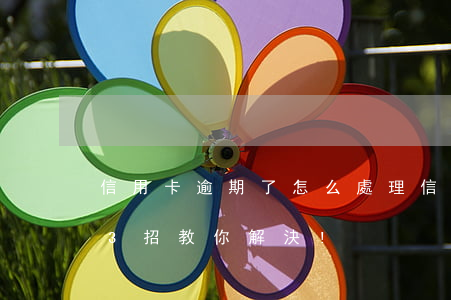 信用卡逾期了怎么處理(信用卡逾期怎么辦?這3招教你解決!)