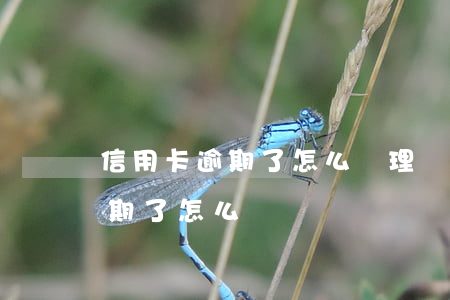 信用卡逾期了怎么處理辦法(有貸款信用卡逾期了怎么辦)
