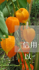 信用卡逾期了怎么要求房子過戶(房貸逾期可以過戶嗎)