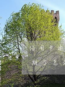 信用卡逾期了怎么解救(所有的貸款信用卡逾期了怎么辦)