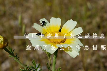 信用卡逾期了怎么談停息掛賬分期-信用卡逾期了怎么談停息掛賬分期呢