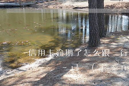 信用卡逾期了怎么跟銀行協(xié)商停息掛賬-已經(jīng)逾期的信用卡,該如何與銀行協(xié)商暫緩還款