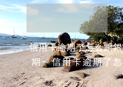 信用卡逾期了怎么跟銀行協(xié)商分期-信用卡逾期了怎么跟銀行協(xié)商分期還款