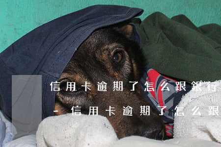 信用卡逾期了怎么跟銀行協(xié)商解-信用卡逾期了怎么跟銀行協(xié)商解除